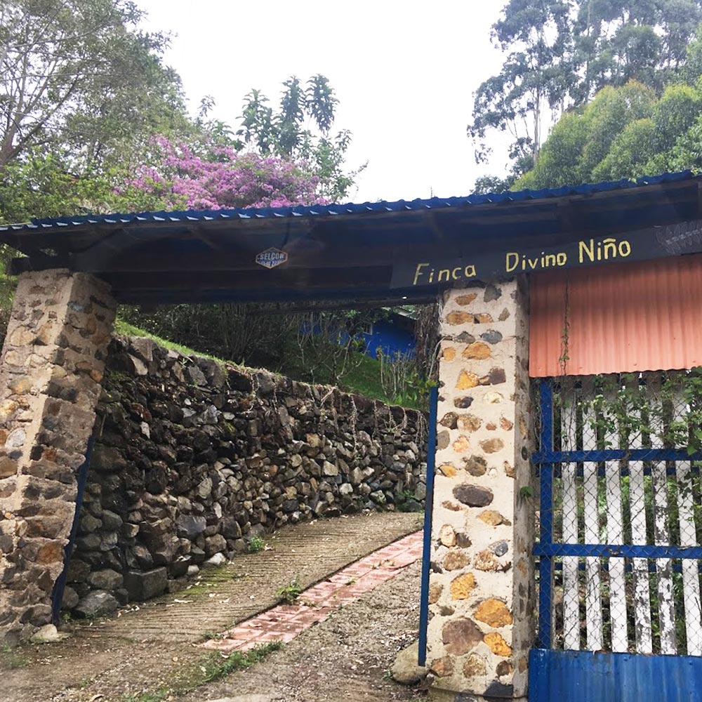 637183098202930000 (1)