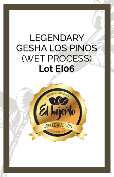 G1 Los Pinos 3 El Injeto Geisha