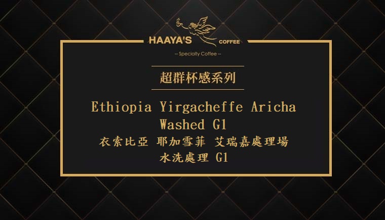 上衣索比亞 耶加雪菲 艾瑞嘉 水洗處理 G1 2025 11 29 001