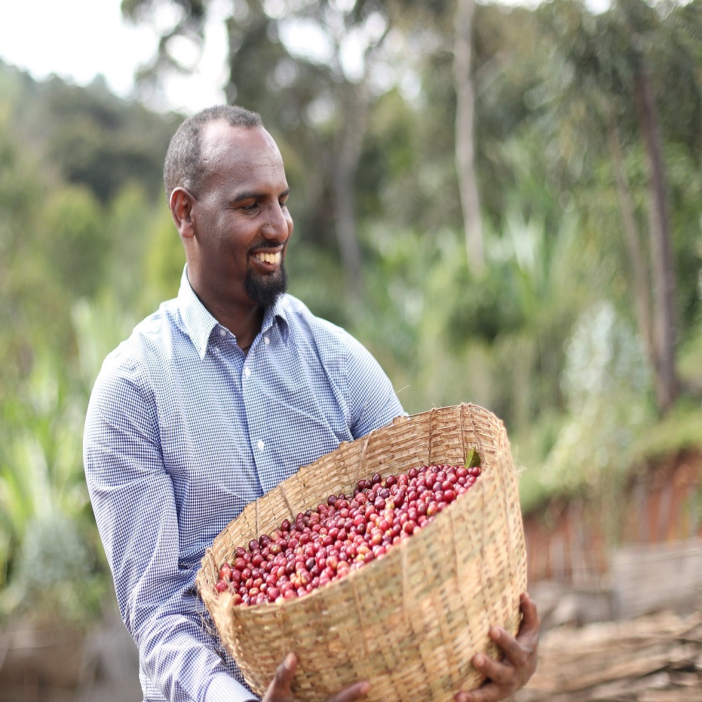 上衣索比亞 耶加雪菲 艾瑞嘉 水洗處理 G1 2025 11 29 哈亞 000