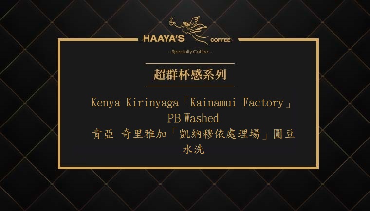 肯亞 奇里雅加「凱納穆依處理場」圓豆 水洗 000