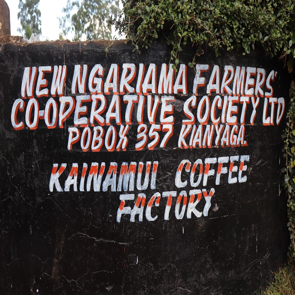 肯亞 奇里雅加「凱納穆依處理場」水洗 004