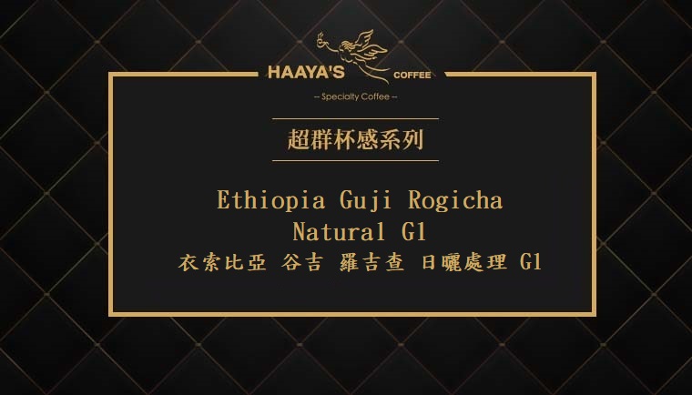 衣索比亞 古吉 羅吉查 日曬處理 G1 2024 03 04 哈亞 001