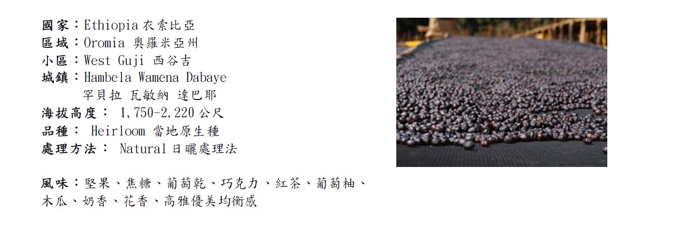 衣索比亞 古吉 羅吉查 日曬處理 G1 2024 03 04 哈亞003